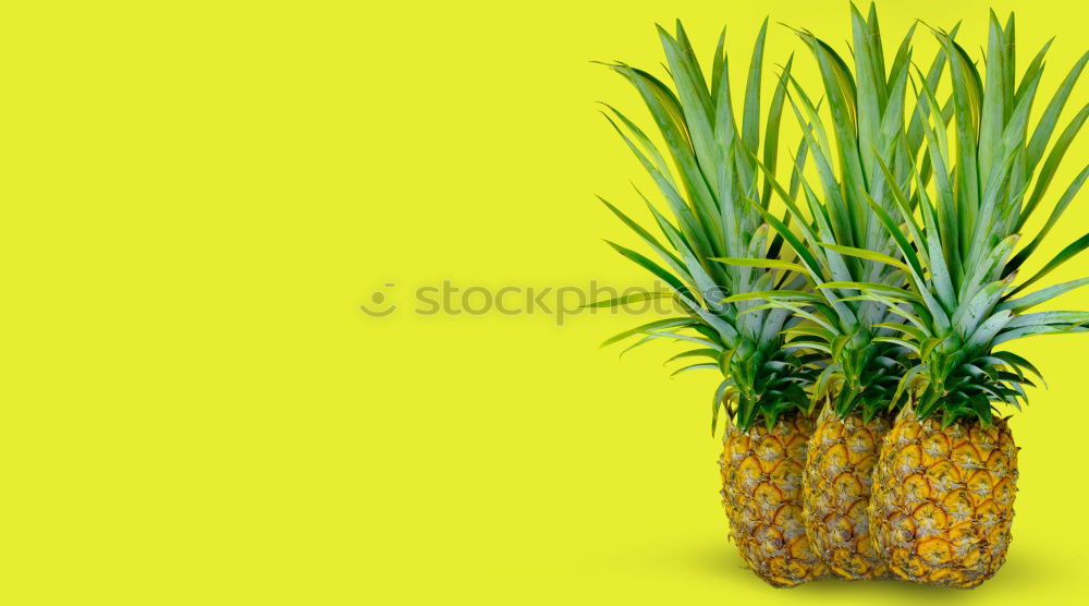 Similar – Image, Stock Photo #A# PineappleYellow Food