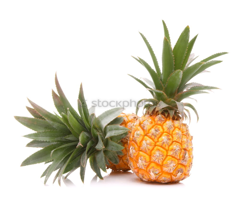 Similar – Pineapple in an armchair