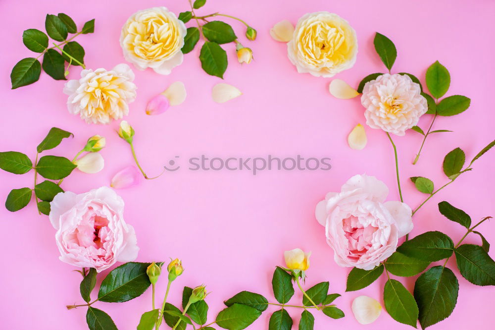 Similar – Beautiful bouquet of flowers. Daffodils with blank label card