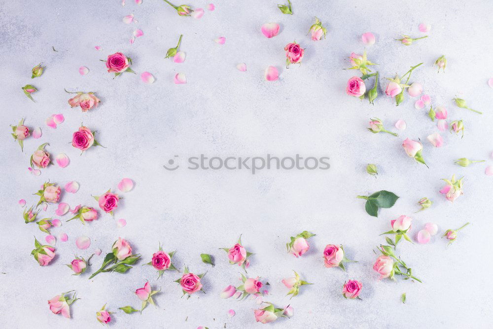 Similar – Image, Stock Photo Open envelope envelope with pastel flowers and petals