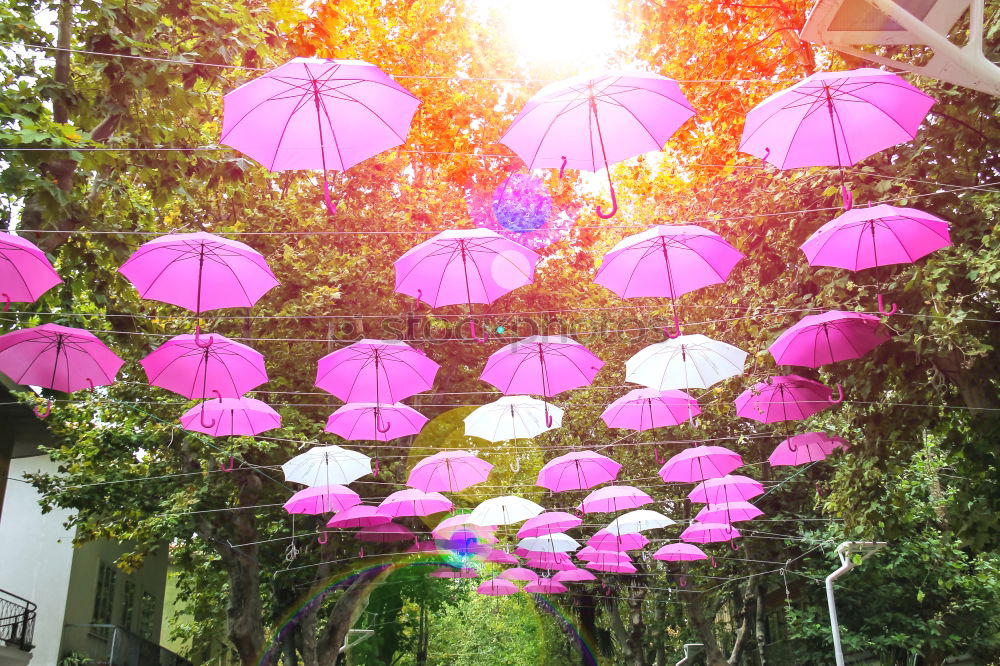 Similar – Flowered retro parasol