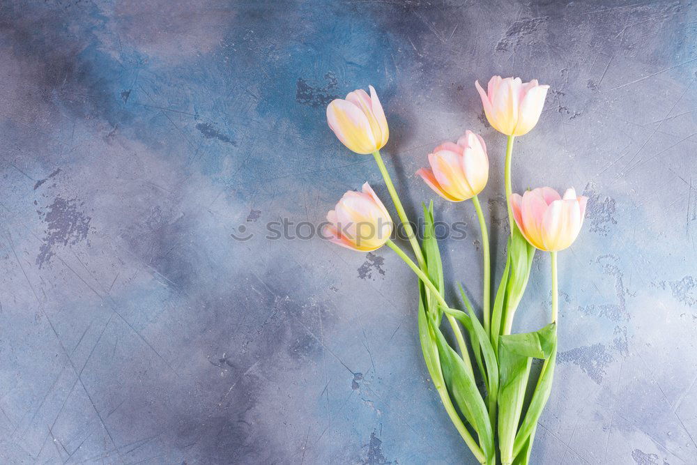 Similar – Image, Stock Photo Tulips Bouquet of flowers