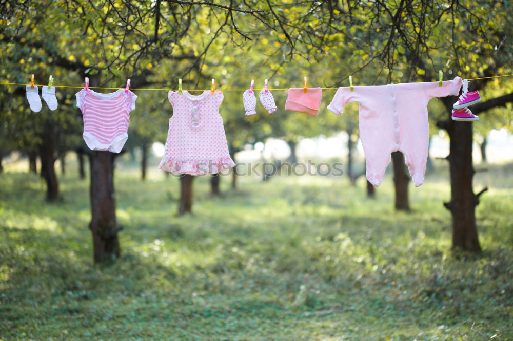 Similar – Baby bibs on laundry