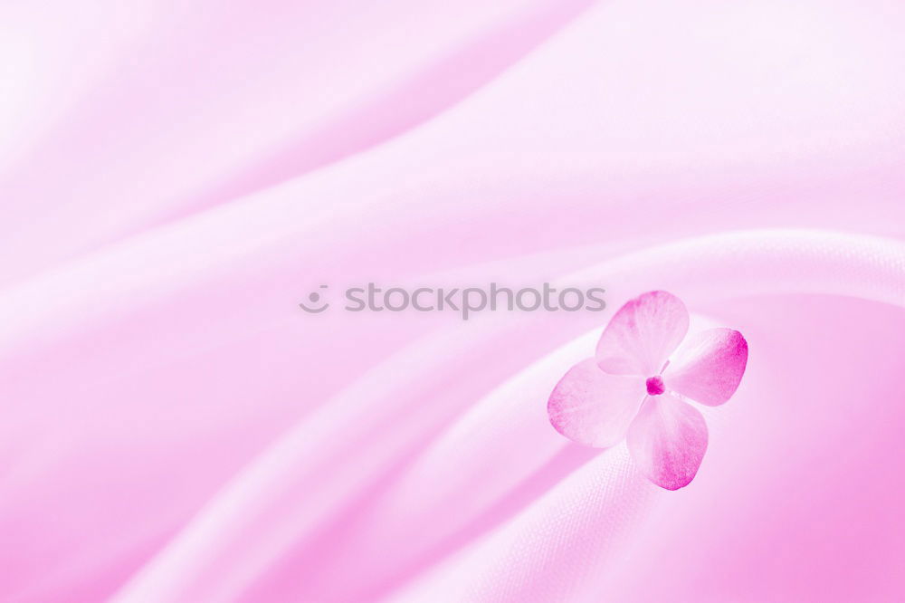 Pink for girls Flower