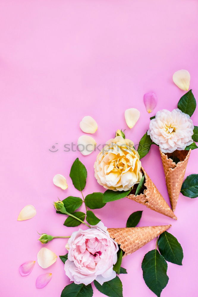 Similar – Beautiful bouquet of flowers. Daffodils with blank label card