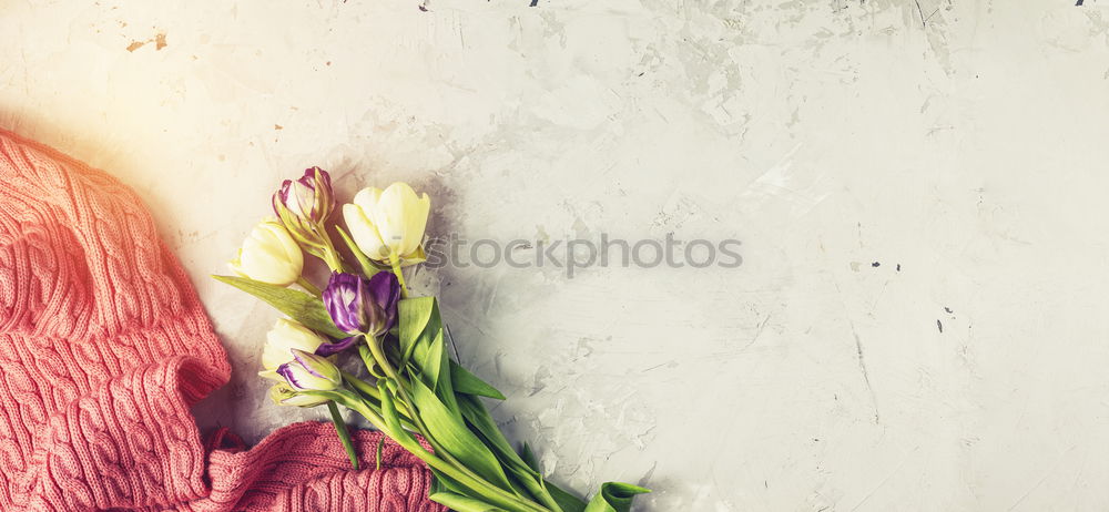 Similar – Image, Stock Photo Hands hold paper bag with autumn flowers and leaves