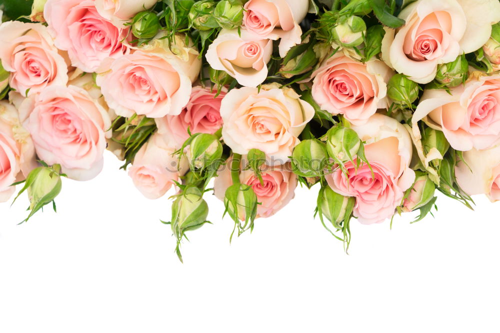Similar – Image, Stock Photo valentine delay