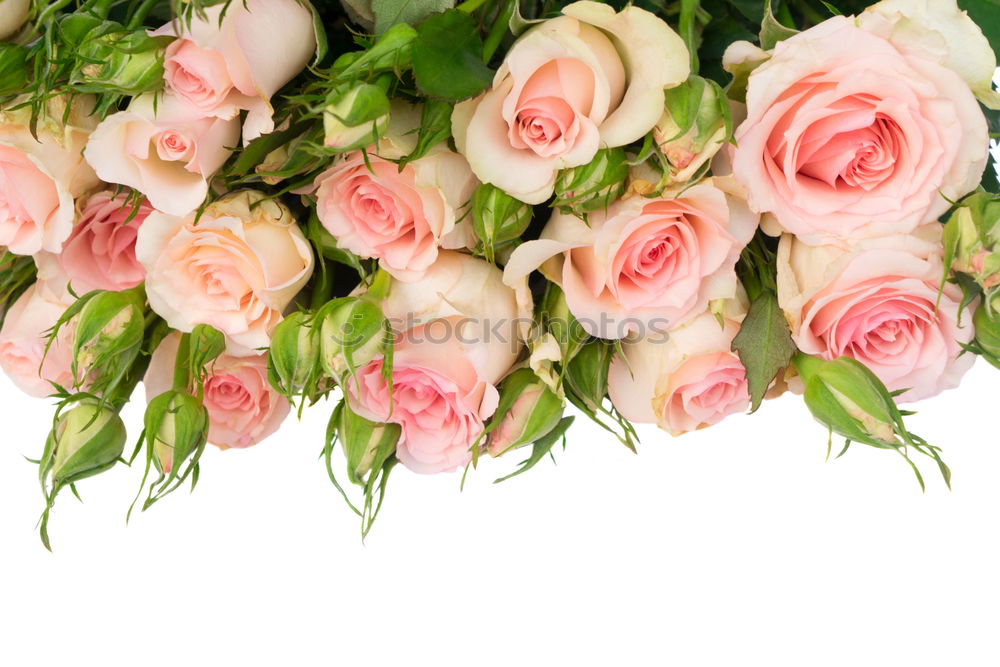 Bouquet with roses in pink