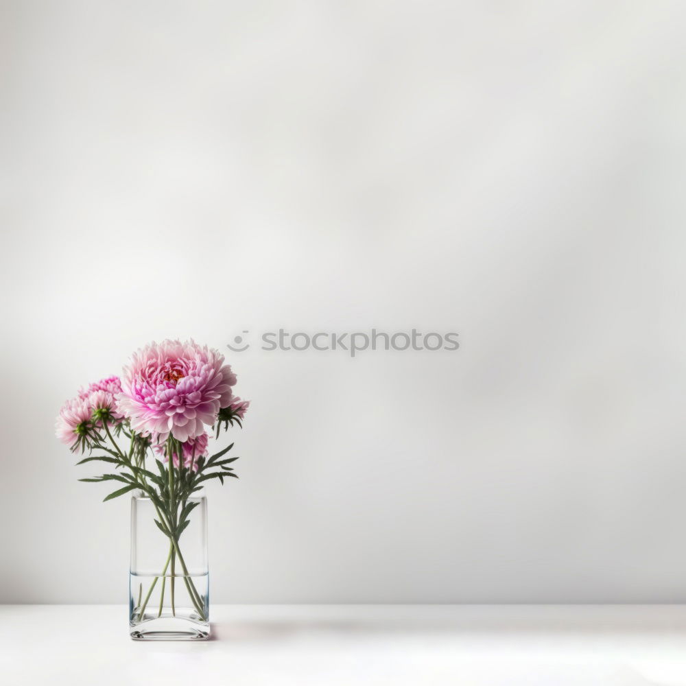 Similar – Vase with tulips on white table