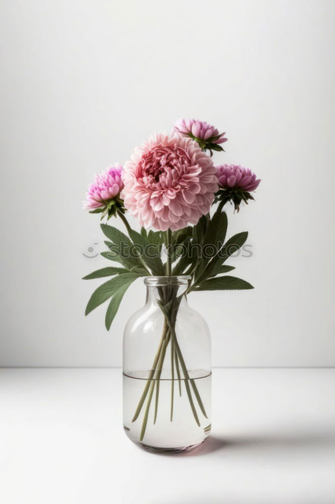 Similar – Watering can with flowers