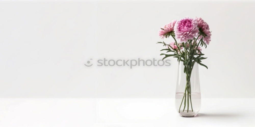 Similar – Wonderful fresh flowers in vase