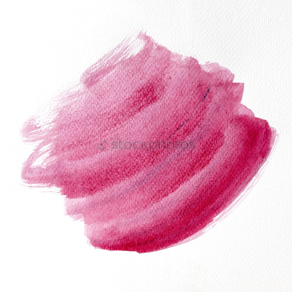 Similar – Foto Bild rain drops Natur Rose