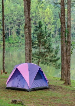 Similar – Orange tent in a pine forest