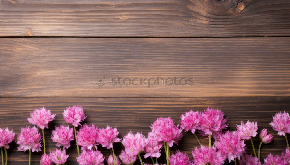 Similar – Image, Stock Photo bouquet of purple lilac