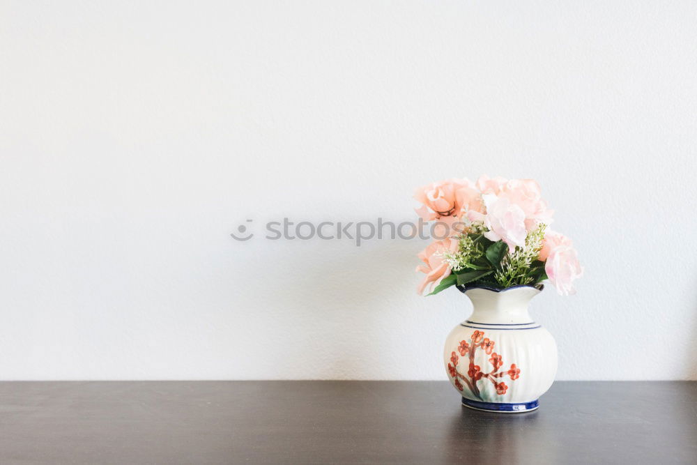 Similar – Female hands hold flowers pot