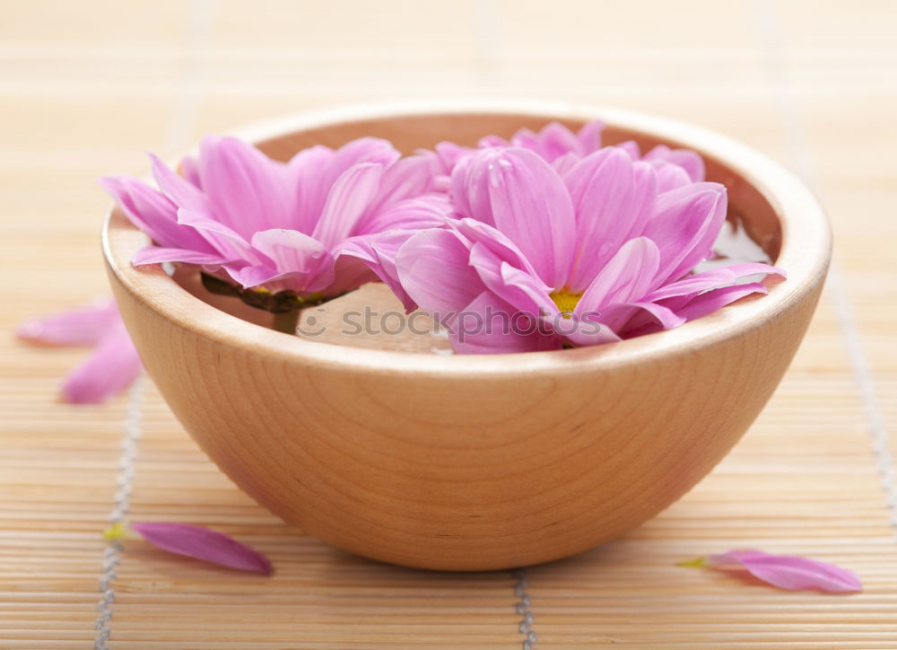 Similar – Image, Stock Photo Honey spoon on honeycomb with fresh flowers