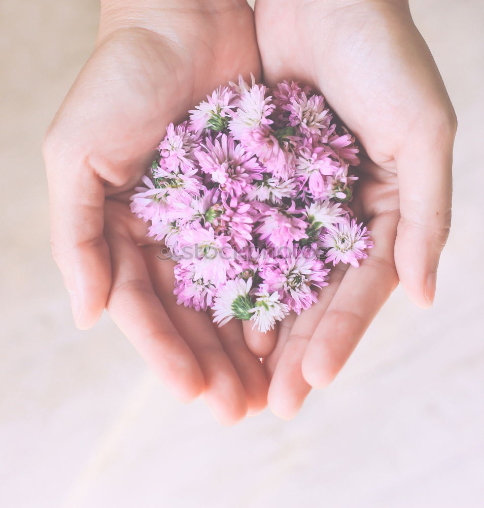 Similar – Image, Stock Photo Female hands hold handmade green soap