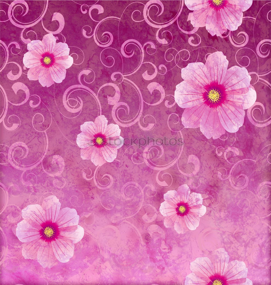 Similar – Image, Stock Photo white gerbera with pink gypsophila against a pink background