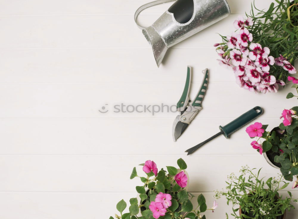 Similar – Image, Stock Photo Garden tools with watering can and flowers