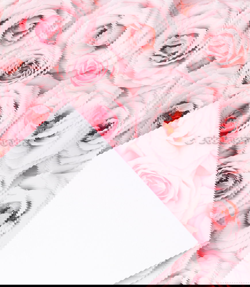 Similar – Image, Stock Photo Table with tulips, coffee and greeting card with heart