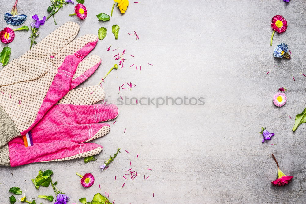 Garden gloves with flowers, leaves and plants