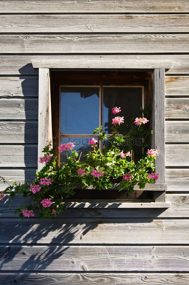 Similar – Foto Bild Fensterln Haus