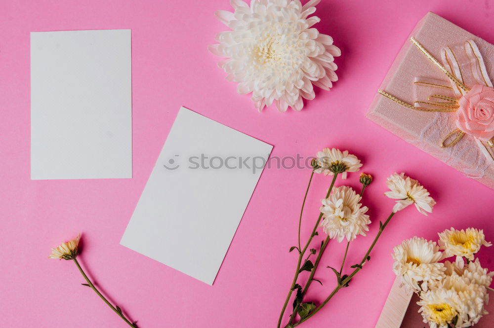 Similar – Image, Stock Photo Female hands write greeting card with flowers