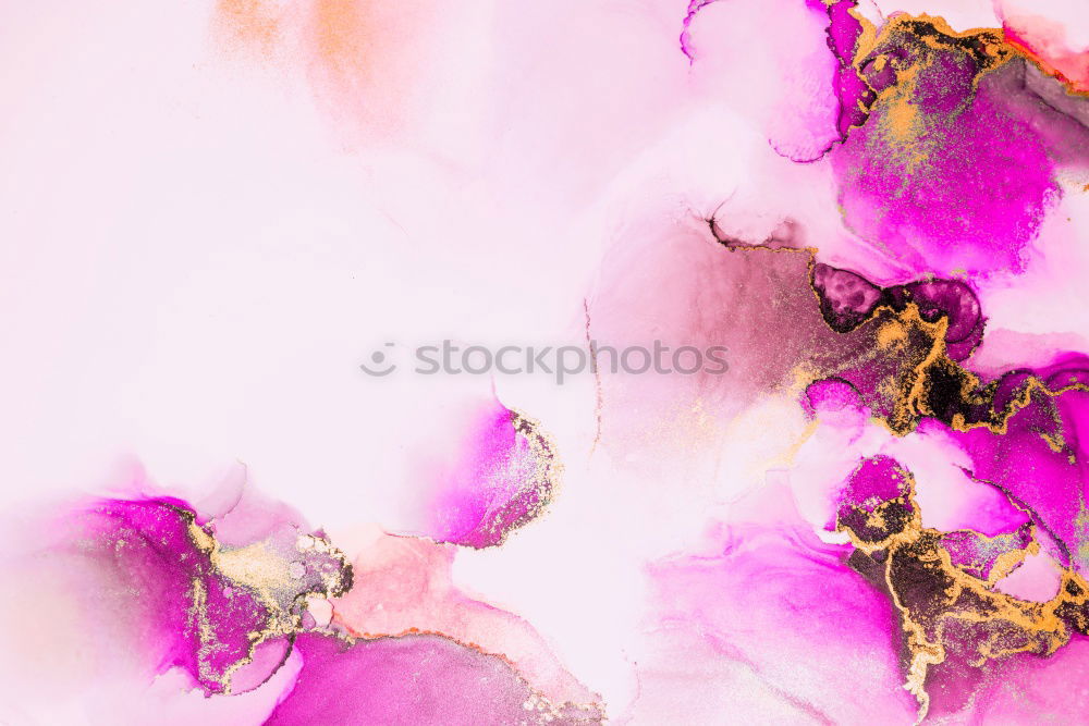 Similar – Image, Stock Photo Still life