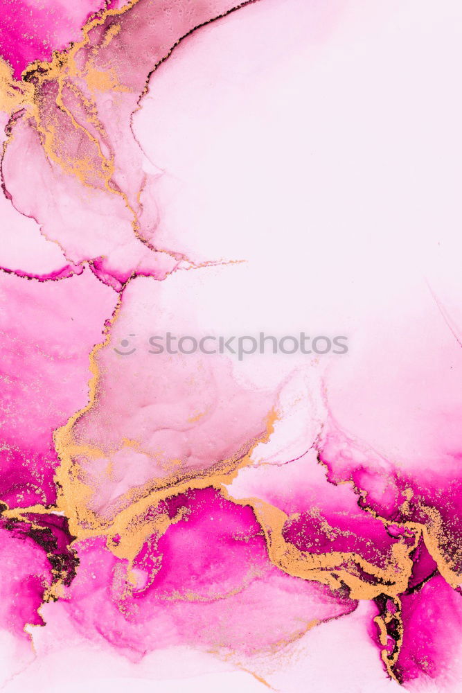 Similar – Foto Bild rain drops Natur Rose