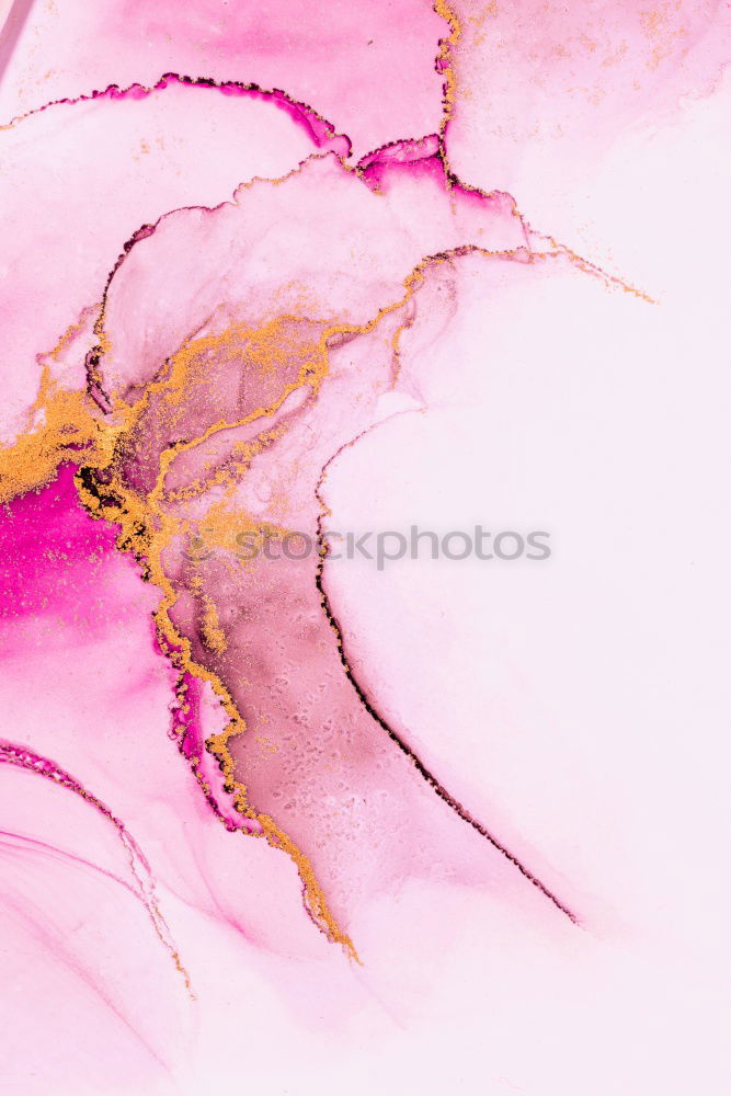 Similar – Foto Bild rain drops Natur Rose