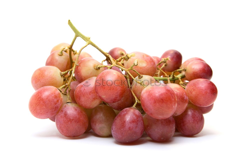 Similar – Image, Stock Photo Grapes bunch