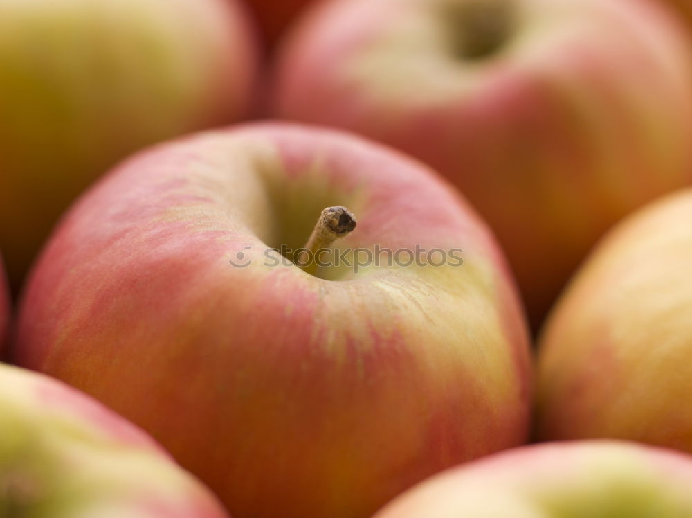 Similar – crispy fresh apples from the orchard