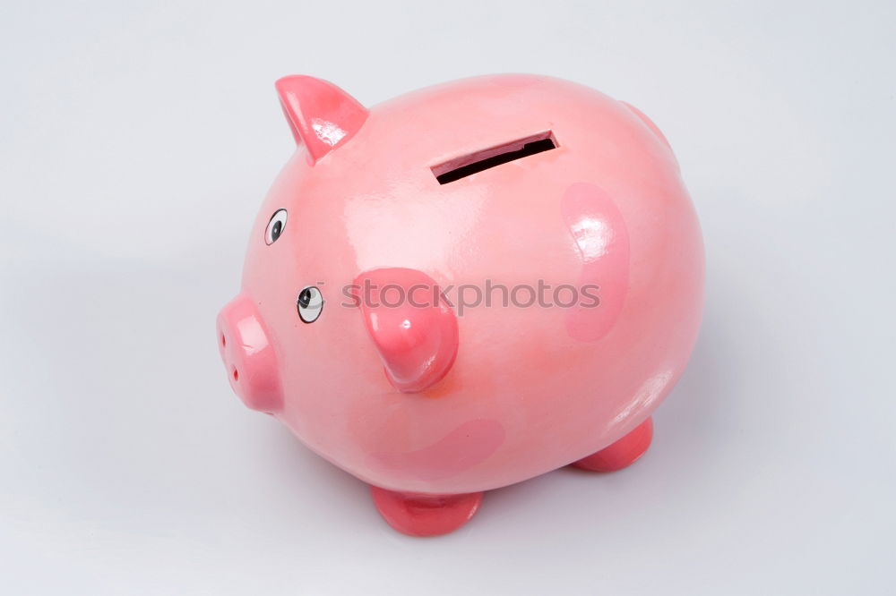 Similar – Red piggy bank Lifestyle