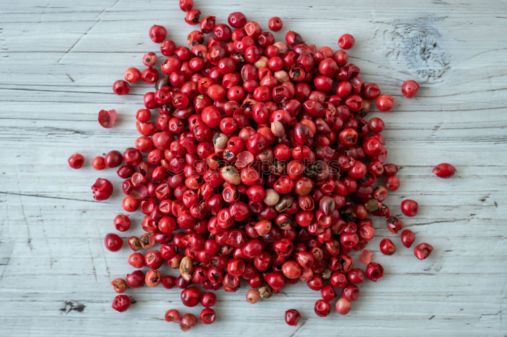 Similar – Cranberries in a bowl