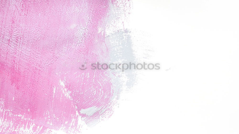 Similar – Foto Bild rain drops Natur Rose