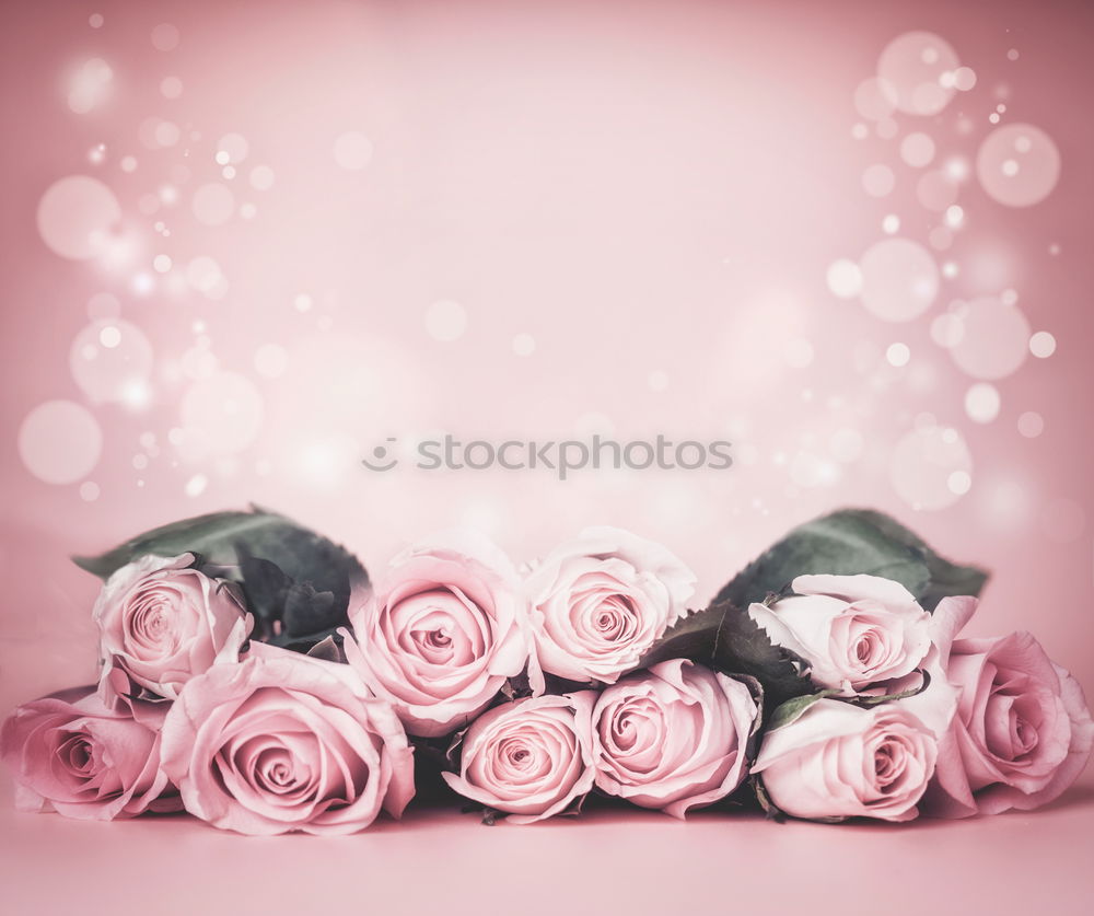Similar – Image, Stock Photo spring children Feminine