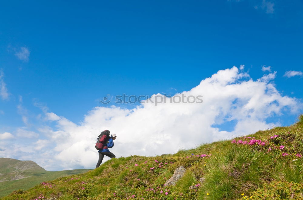 Similar – Woman walks on a mountain path in a sunny day.