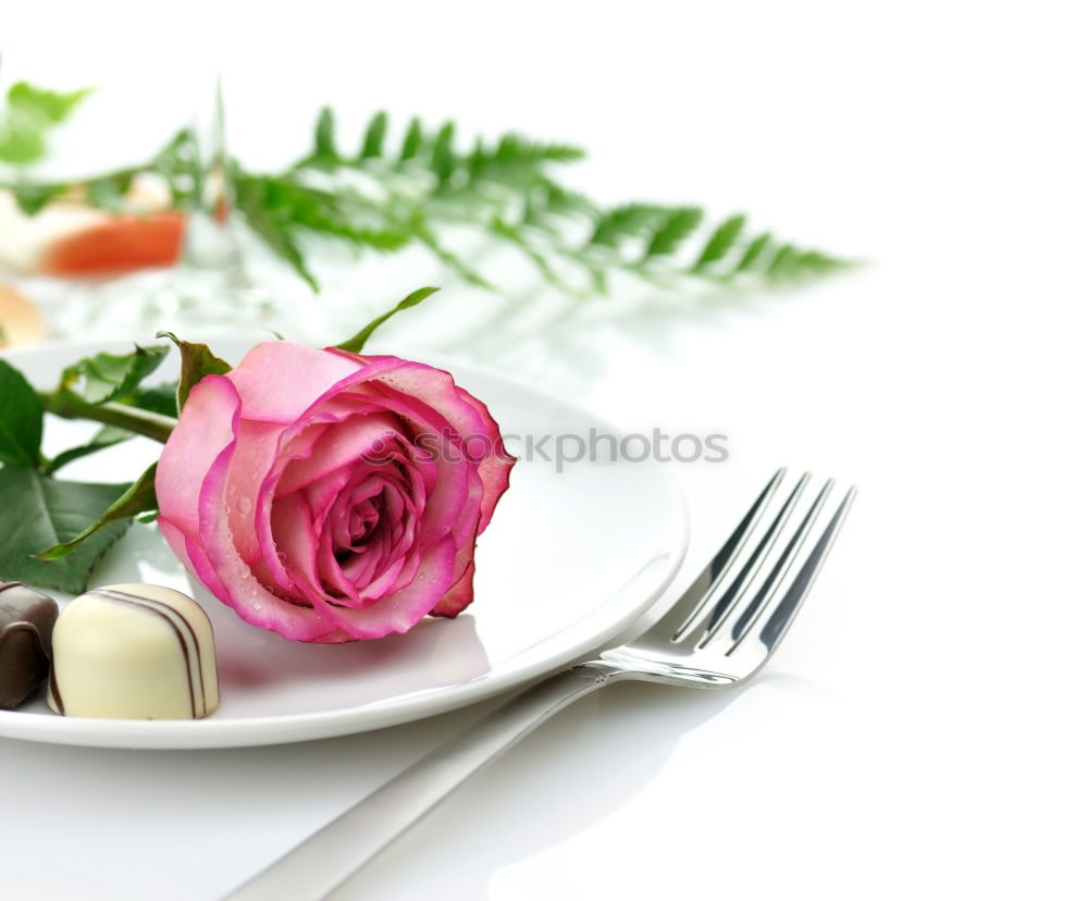 Similar – White dish on a pink wooden surface