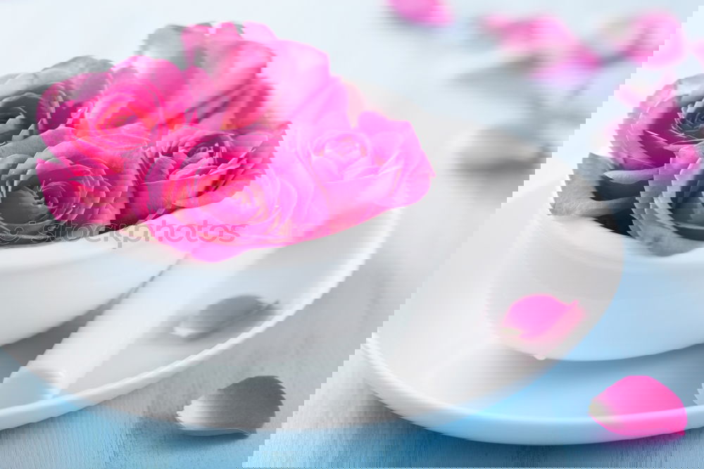 Similar – Image, Stock Photo Pink tulips and white cup with heart