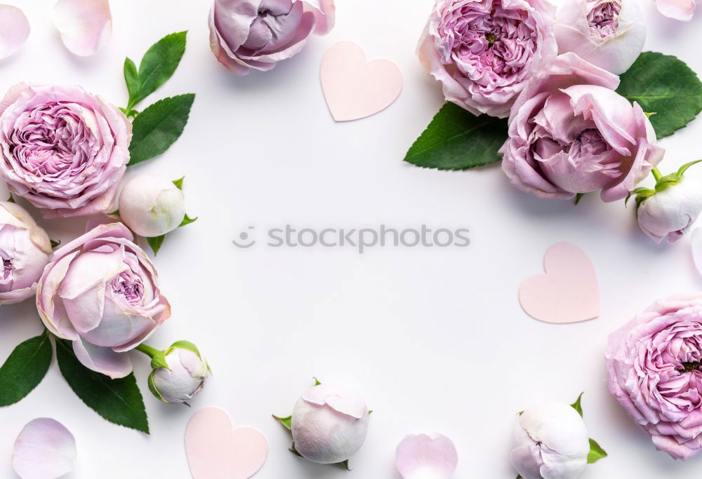 Similar – Image, Stock Photo Female hands write greeting card on pink table with flowers