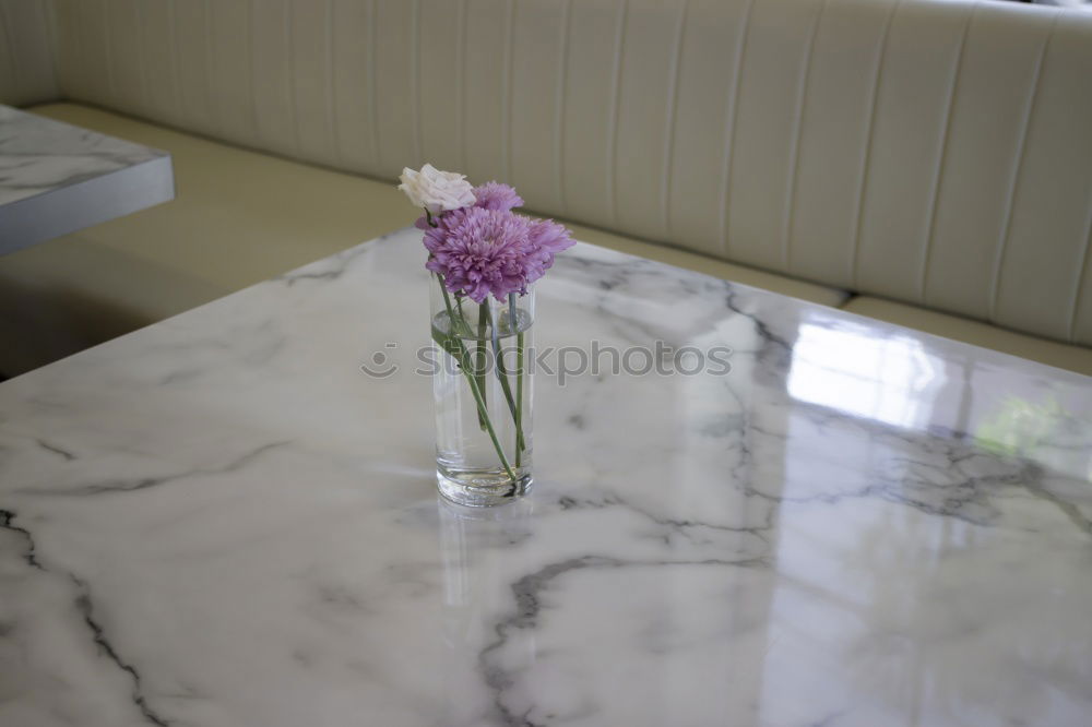 Similar – Image, Stock Photo Lilac from grandpa’s garden