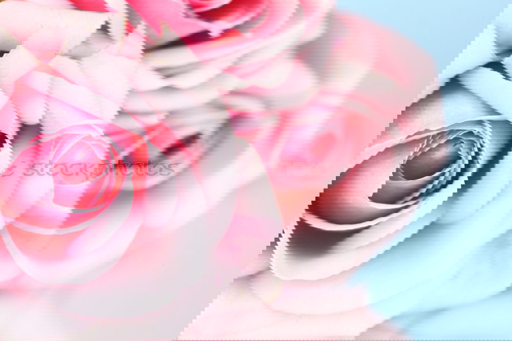 Similar – Image, Stock Photo Bowl with water and pink roses flowers