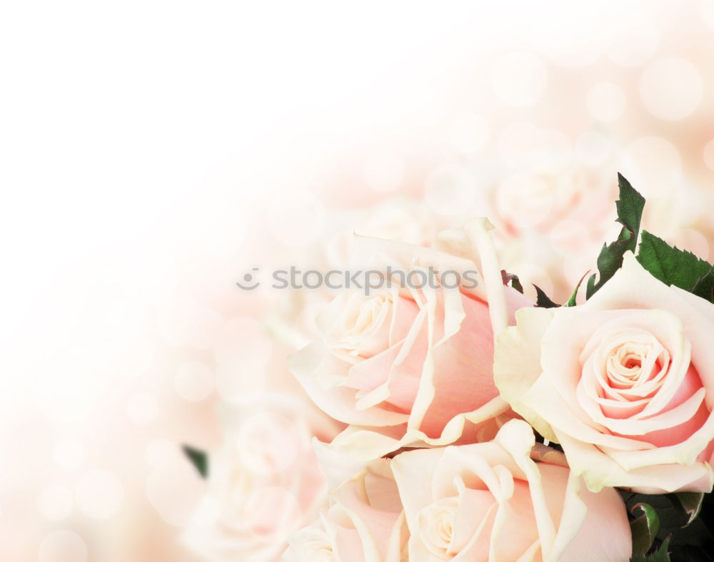 Similar – Image, Stock Photo Flowers and heart decor in vase