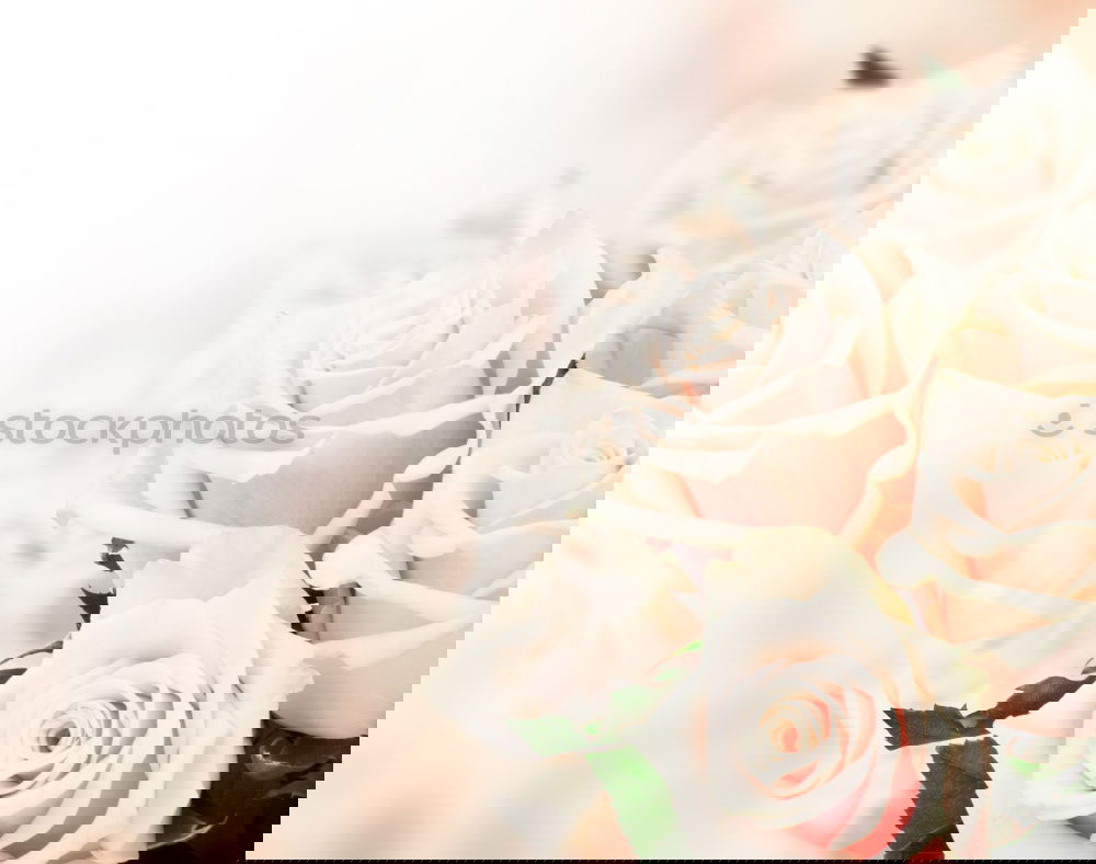 Similar – Image, Stock Photo Bouquet of flowers in glass vase on the table in front of the window
