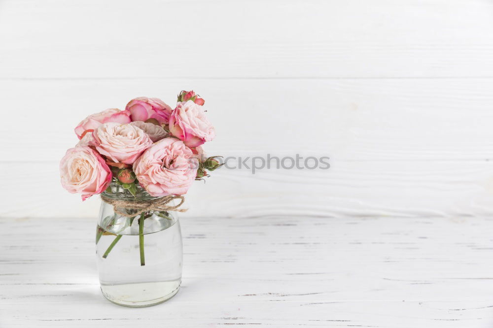 Similar – Image, Stock Photo Female hand holds bottle with pink lotion and flowers