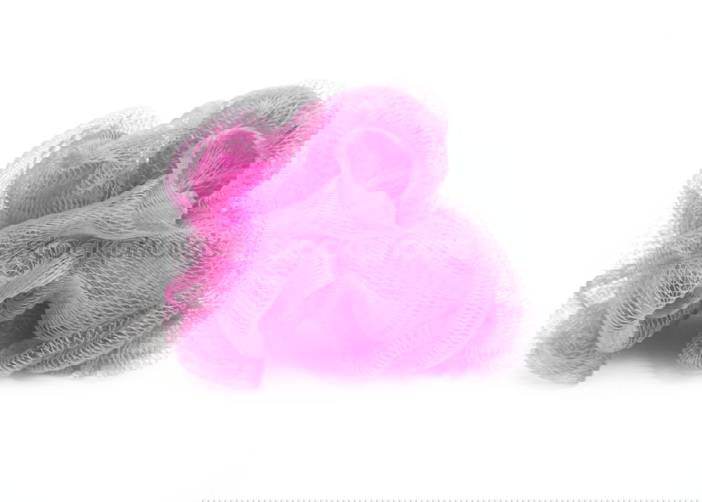Similar – Image, Stock Photo Fresh garlic on a light pink background