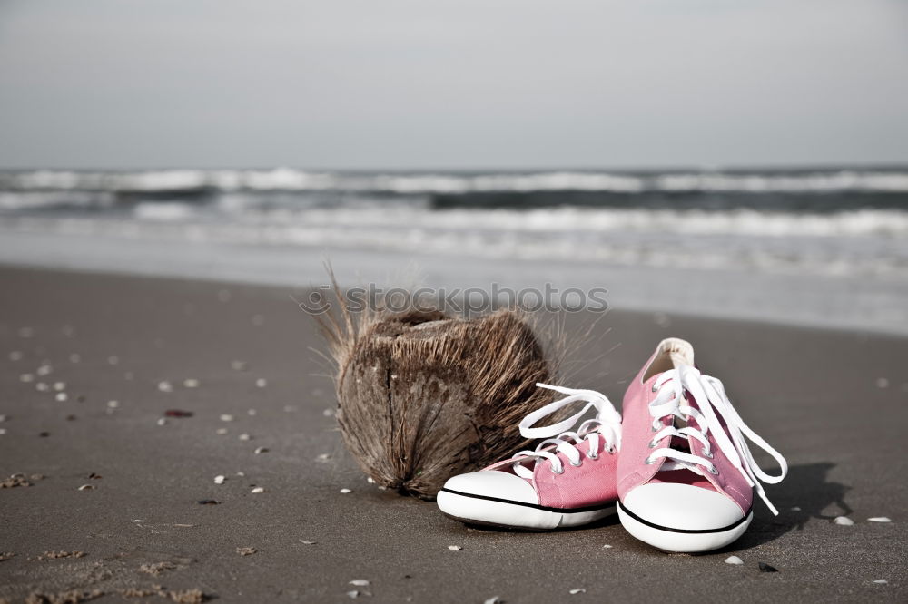 Similar – Image, Stock Photo life is a beach Flip-flops