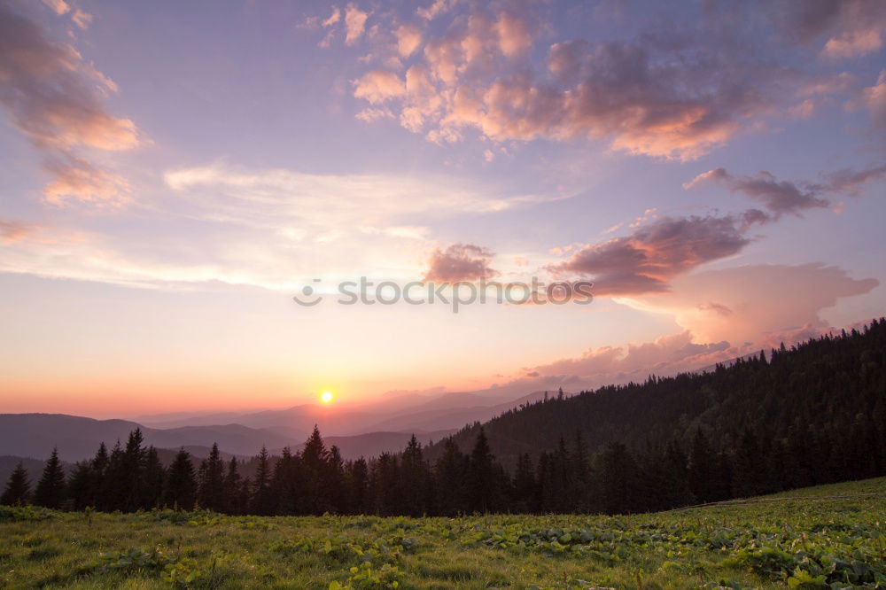 Similar – Image, Stock Photo Black Forest