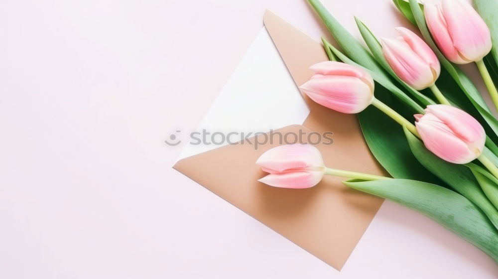 Similar – Image, Stock Photo Beautiful fresh tulips