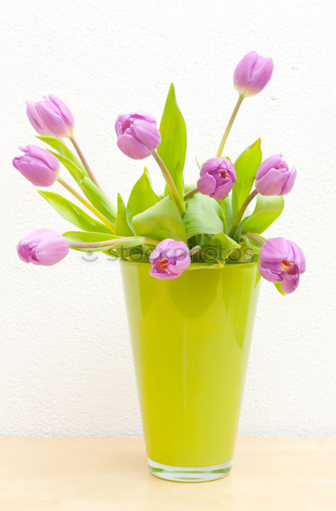 Similar – Force l full Flower Vase